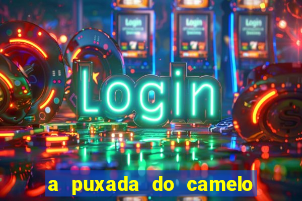 a puxada do camelo no jogo do bicho